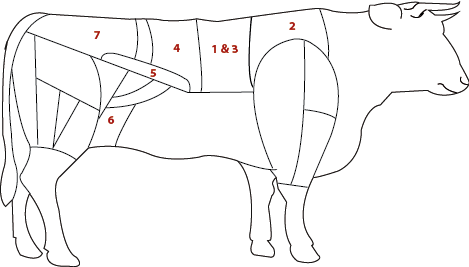 viande de boeuf détail des pièces bouchères - Auberge de l'Aubrac - Gommenec'h